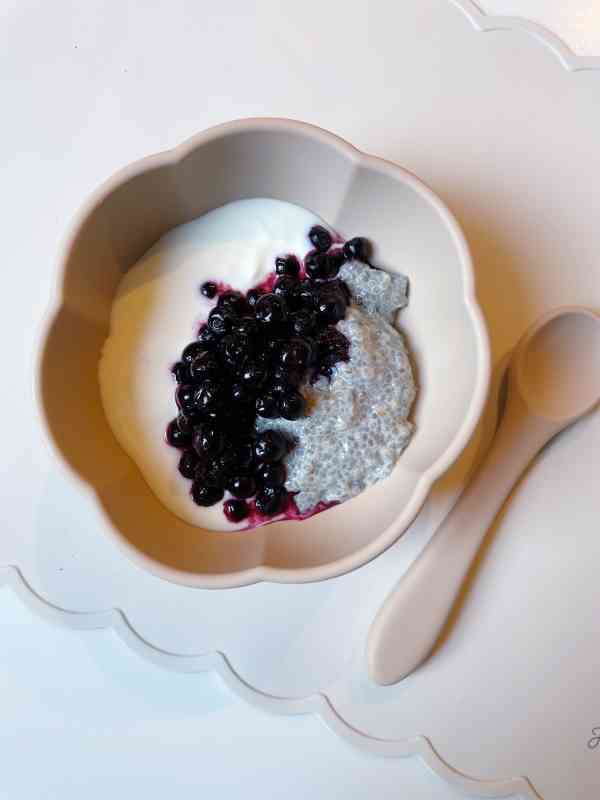 Chiapudding med turkisk yoghurt och blåbär