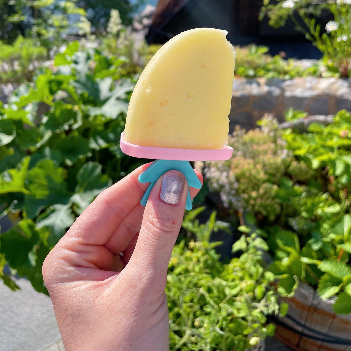 Ananas- och kokosglass