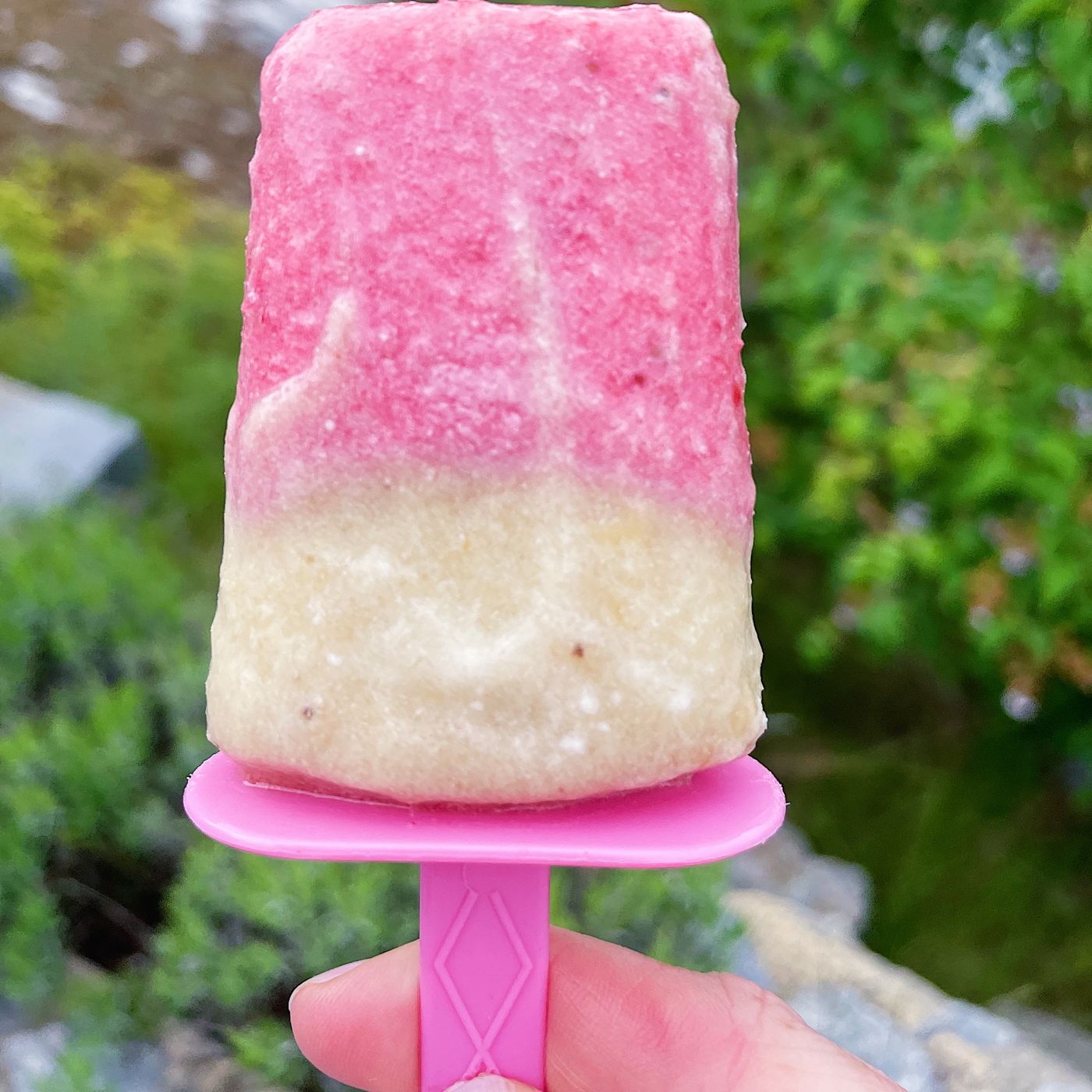 Glass på jordgubbar och kokosgrädde